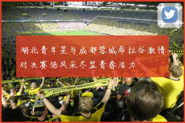 湖北青年星与成都蓉城希拉谷激情对决赛场风采尽显青春活力