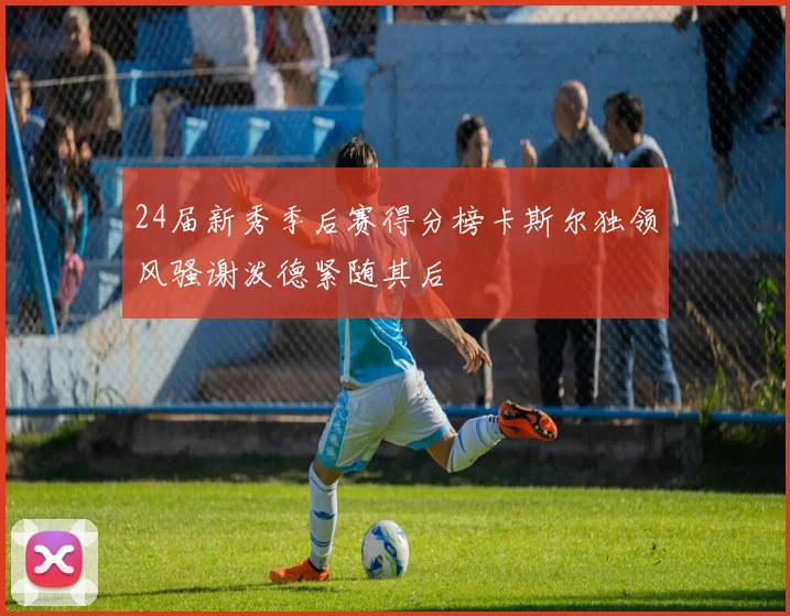 24届新秀季后赛得分榜卡斯尔独领风骚谢泼德紧随其后